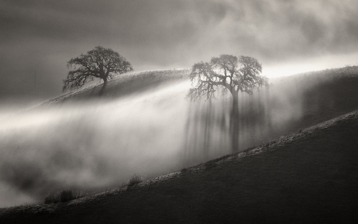Fog Shower Poster och Canvastavla
