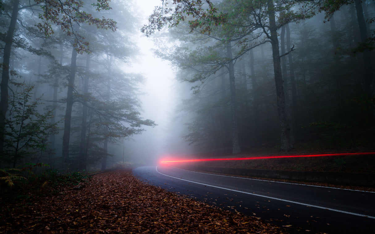 Wake in the fog Poster och Canvastavla