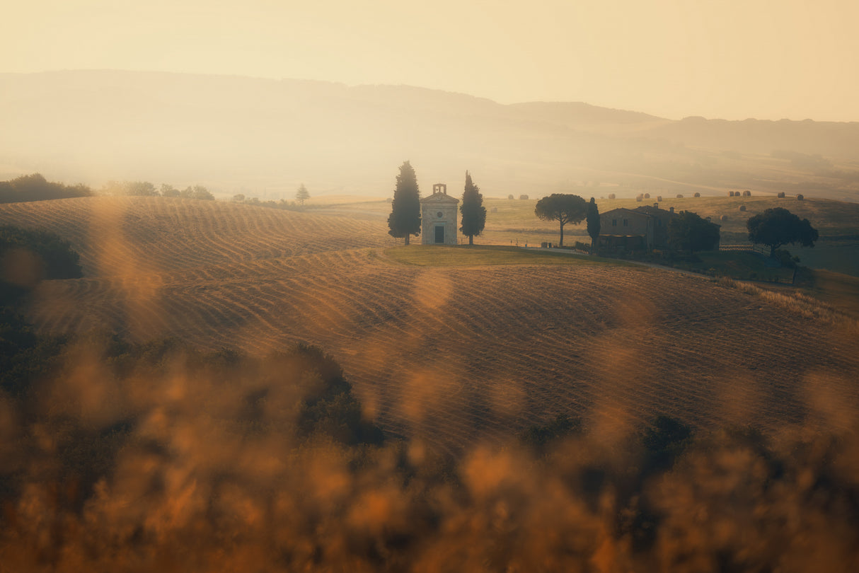 Another Day Poster och Canvastavla