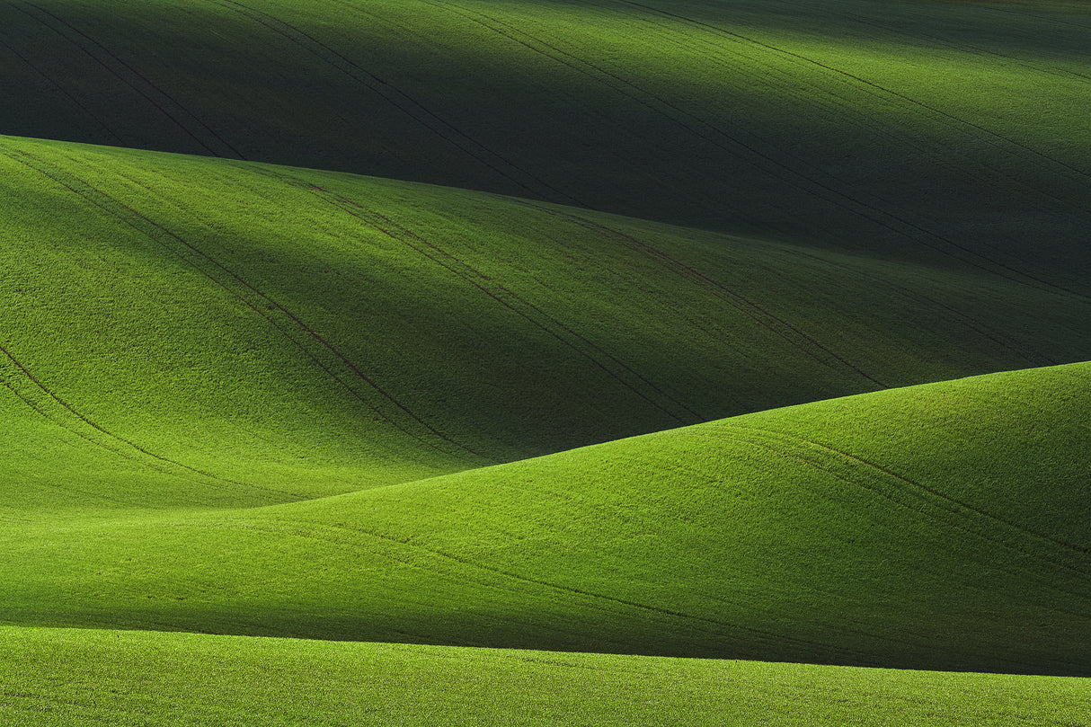 Landscape blending Poster och Canvastavla