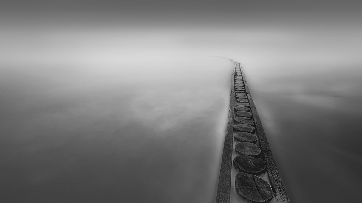 Fear the Sea Poster och Canvastavla