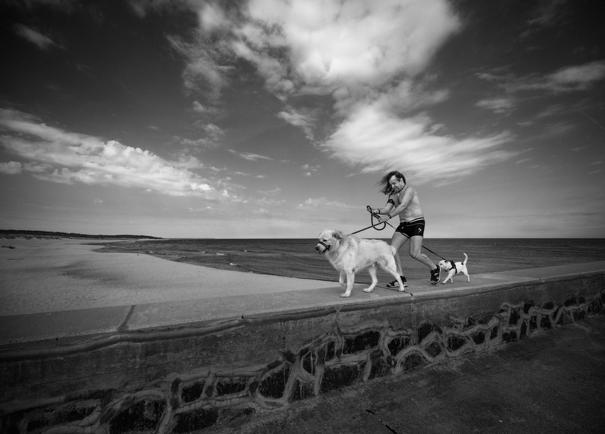 Fast as the wind Poster och Canvastavla