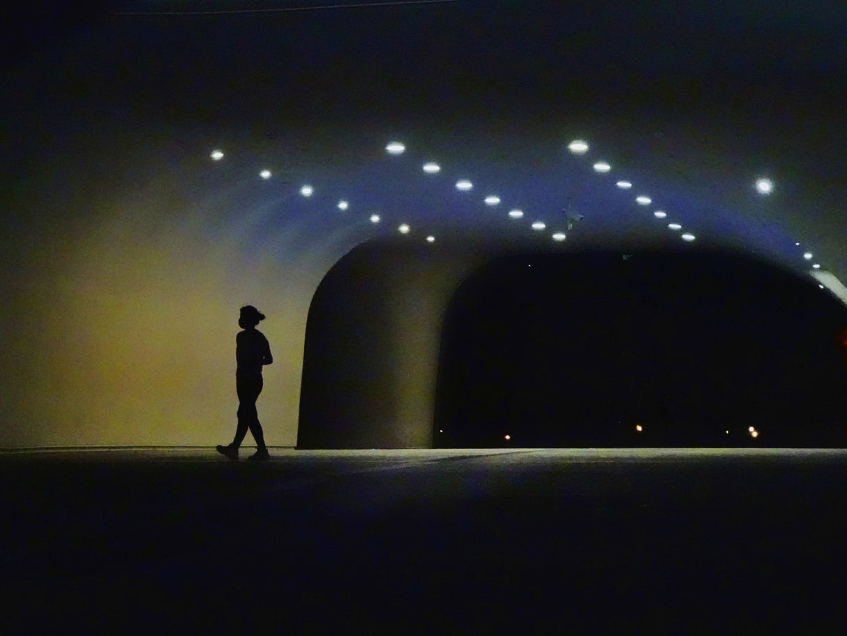 Lonely silhouette Poster och Canvastavla