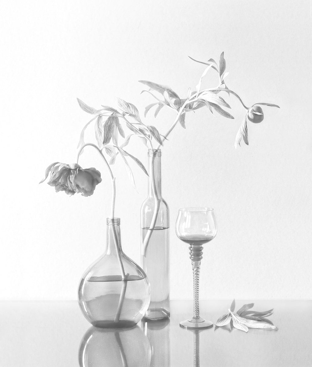 Still Life with Peonies Poster och Canvastavla