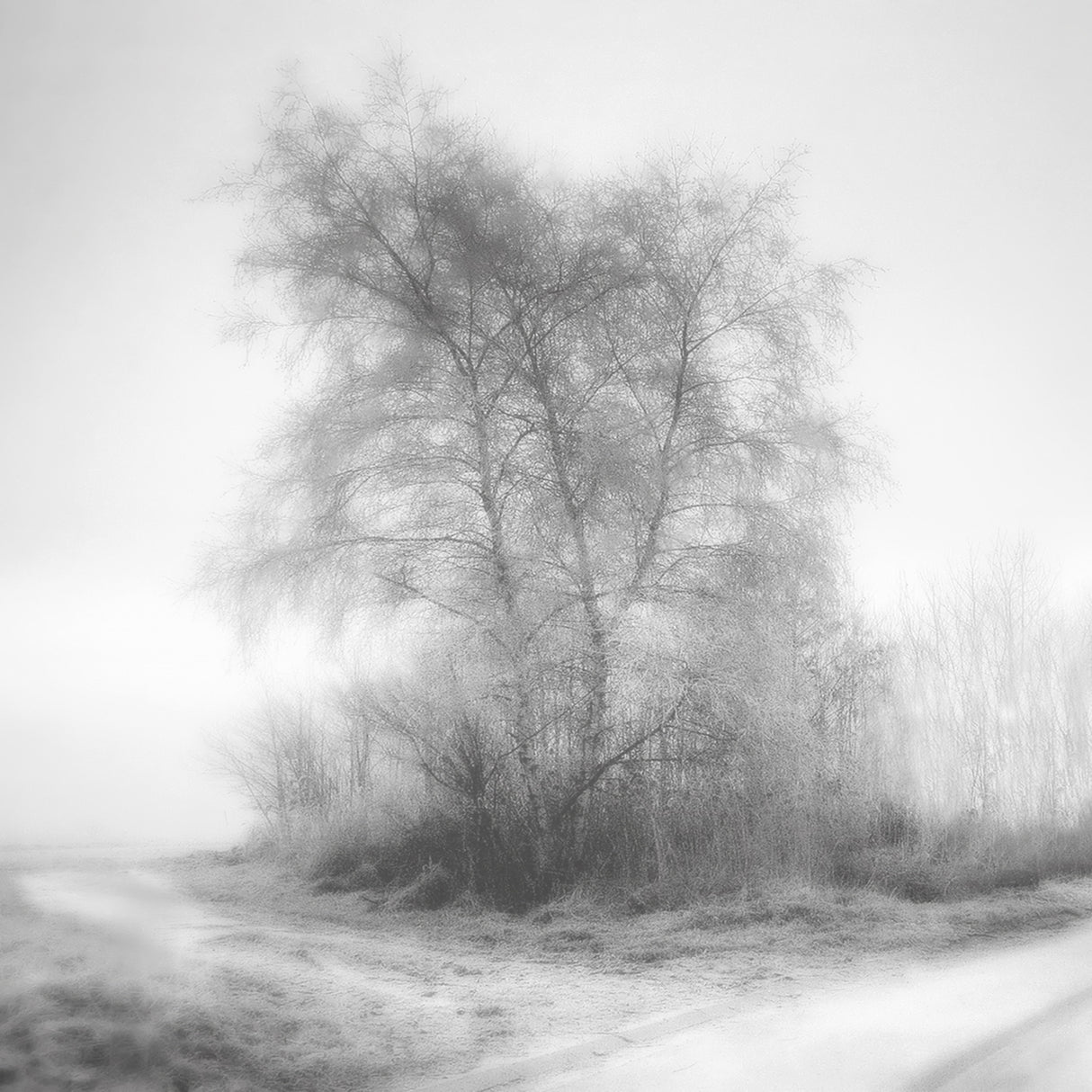 Deep peace of the winter Poster och Canvastavla