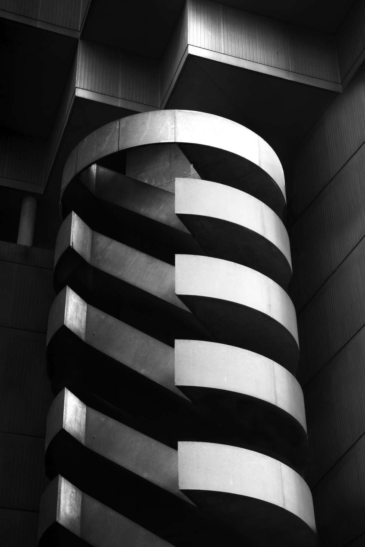The Curves Poster och Canvastavla
