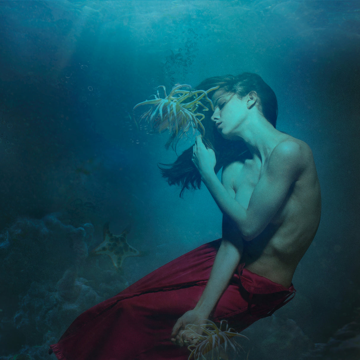 Obsession I Poster och Canvastavla