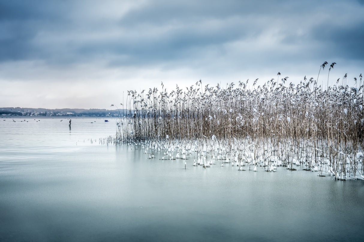 Winter Impression Poster och Canvastavla