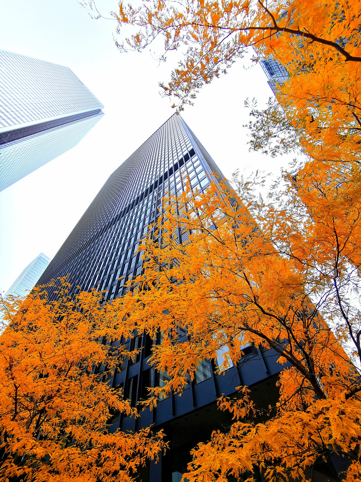 Autumn in the City Poster och Canvastavla