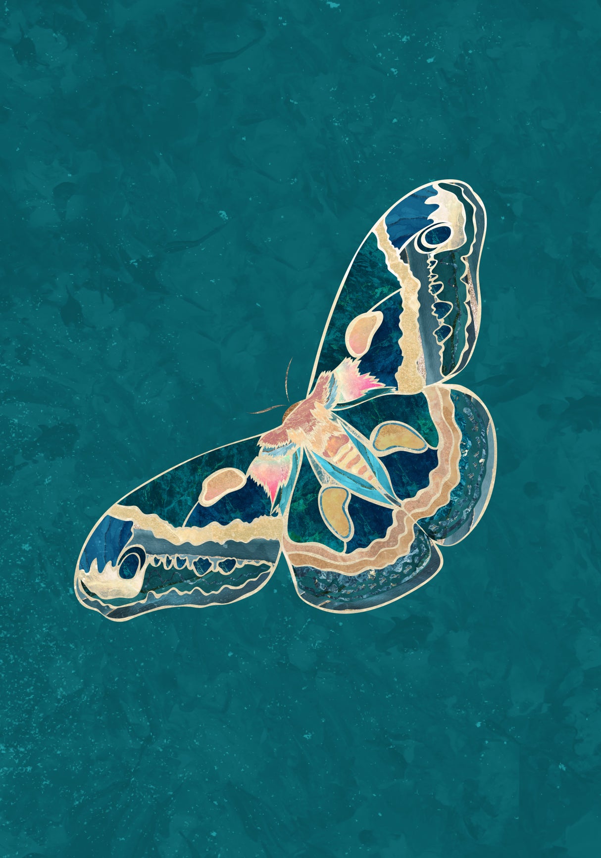 Turquoise Gold Moth Butterfly Poster och Canvastavla