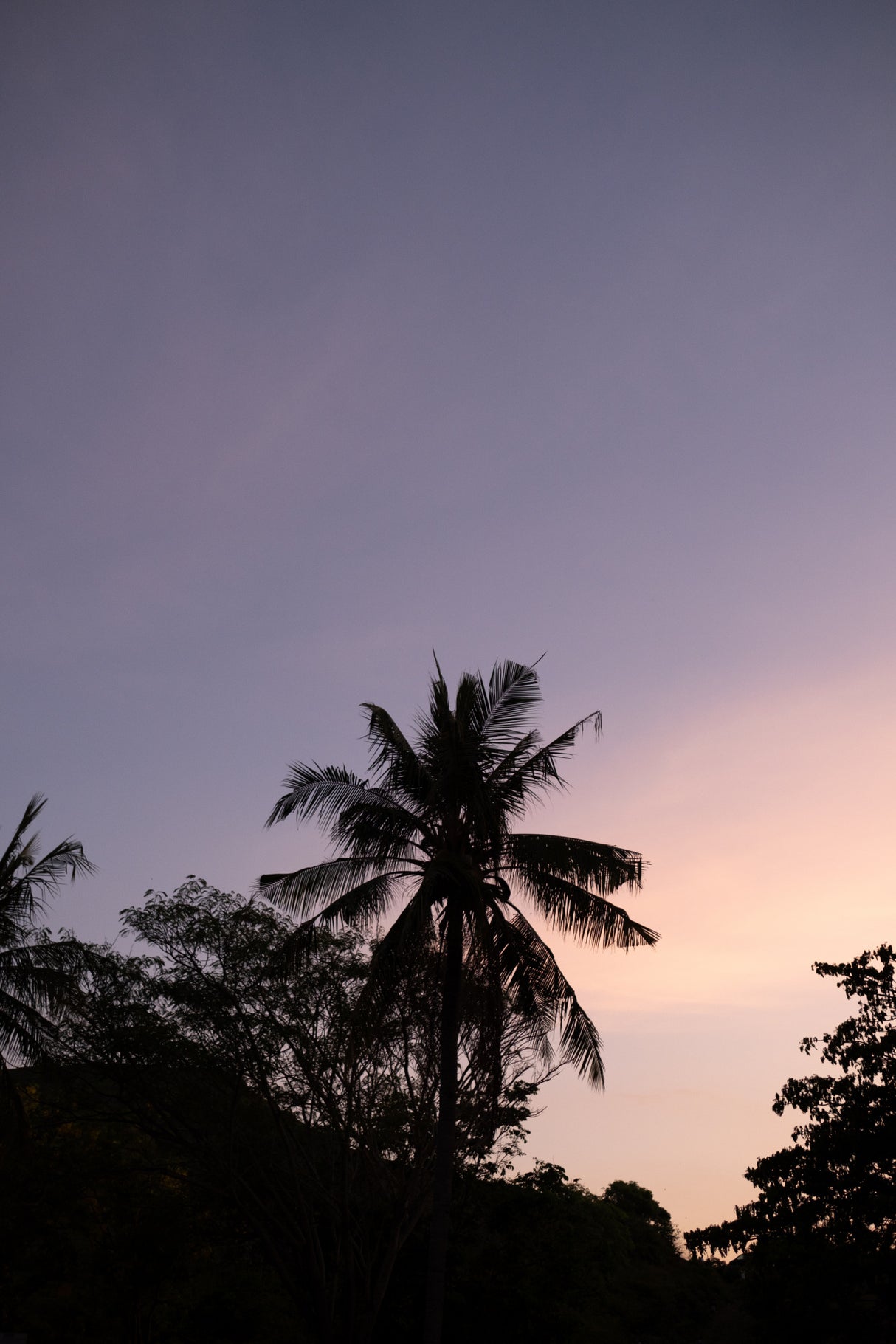 Lombok sunset Poster och Canvastavla