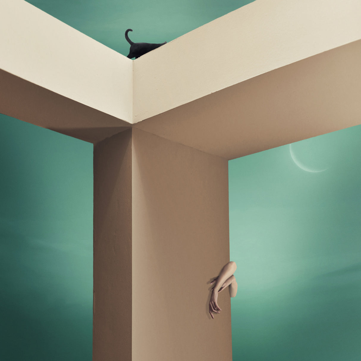 Seek and Ye Shall Find - Y Poster och Canvastavla