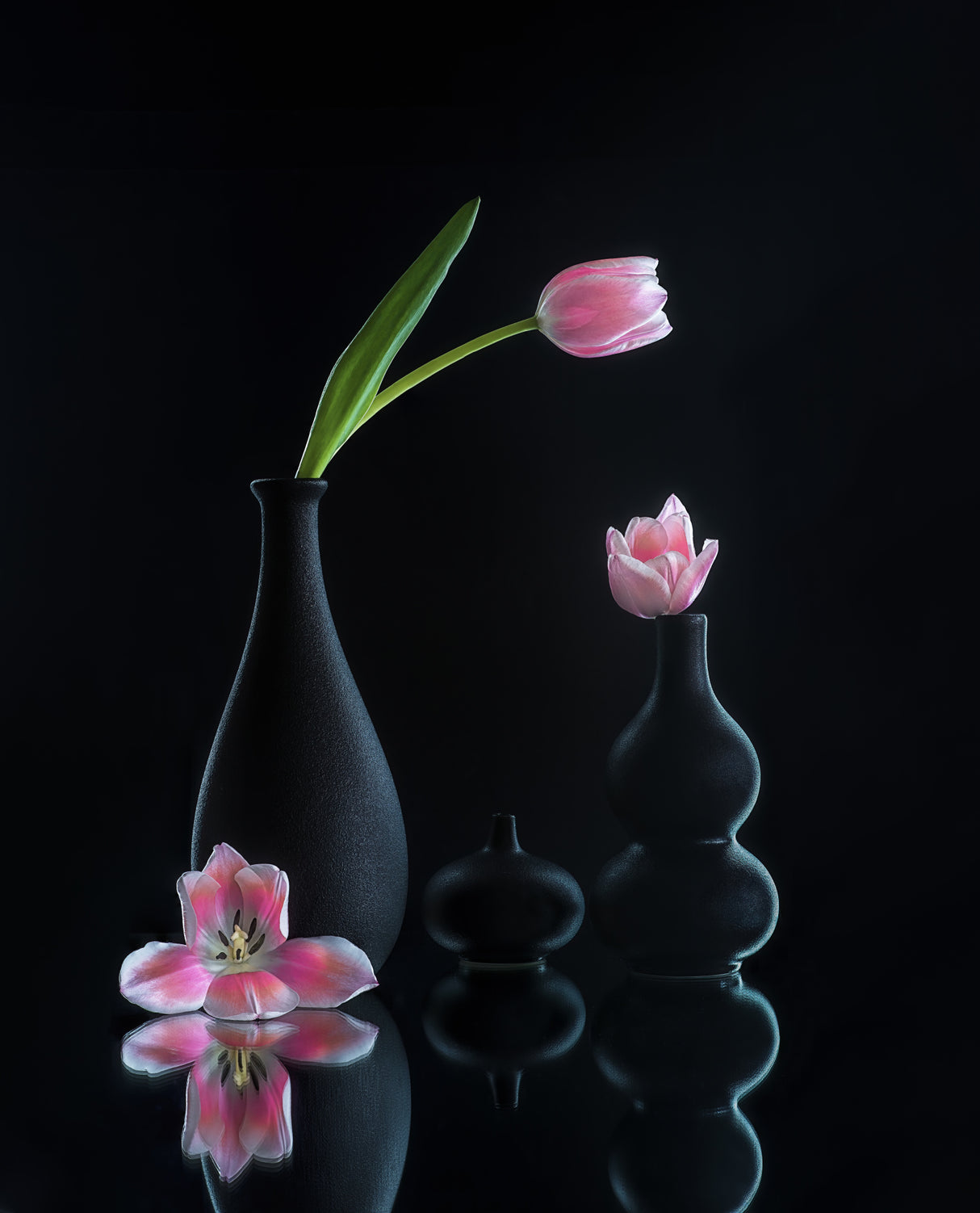 still life 23 Poster och Canvastavla
