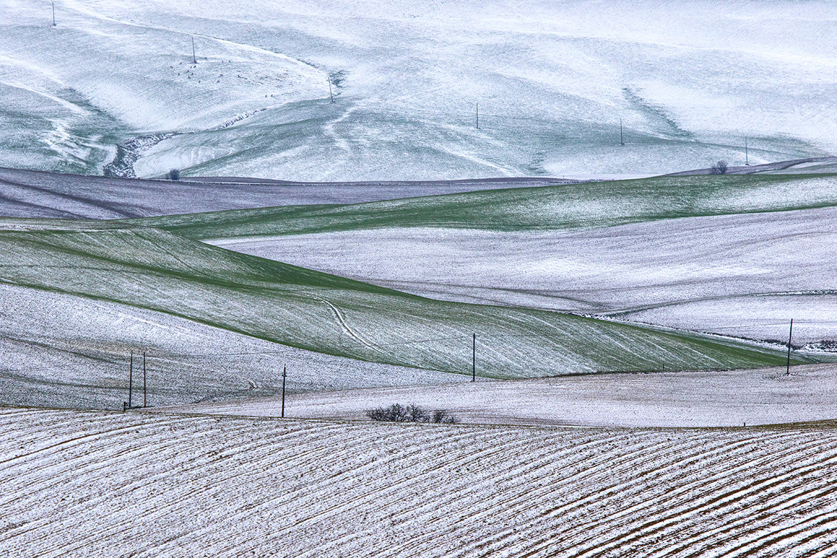 Val D'Orcia in bianco 2 Poster och Canvastavla