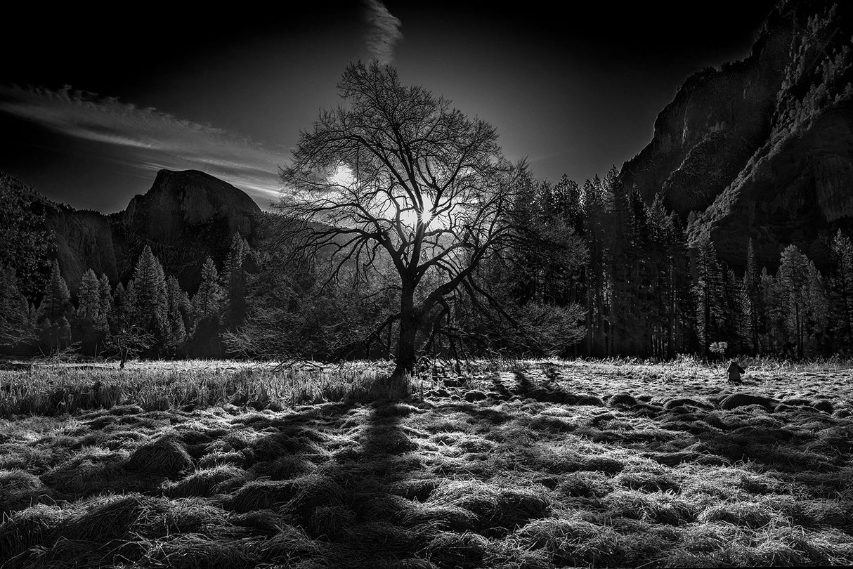 The Winter Spirit Poster och Canvastavla