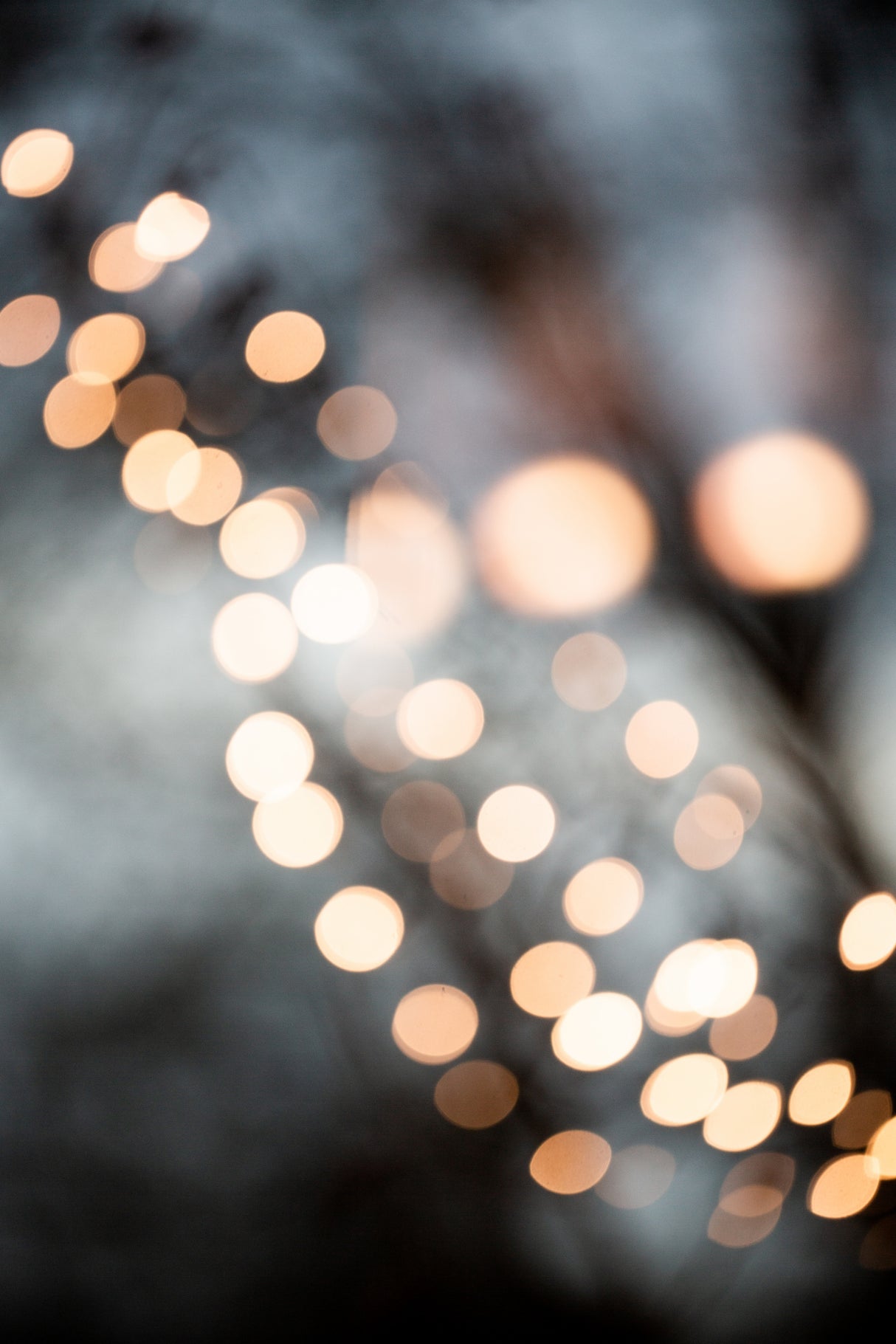 Winter Lights Poster och Canvastavla