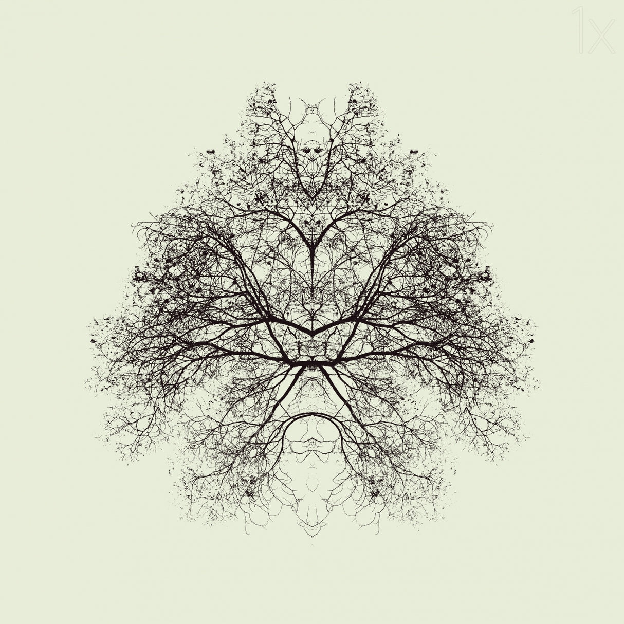 Rorschach Test Poster och Canvastavla