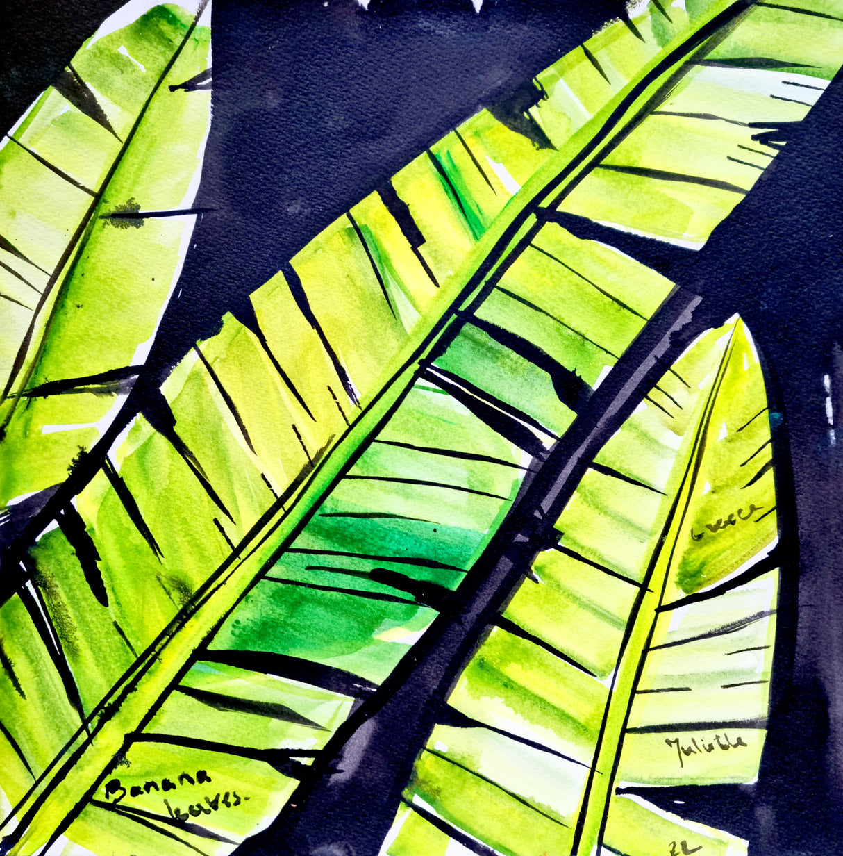 Banana leaves Poster och Canvastavla