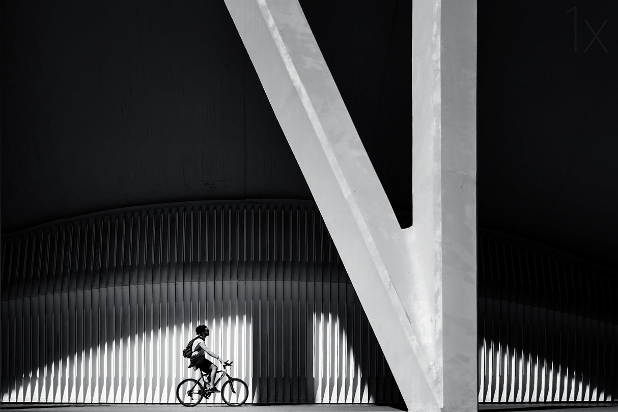 The biker Poster och Canvastavla