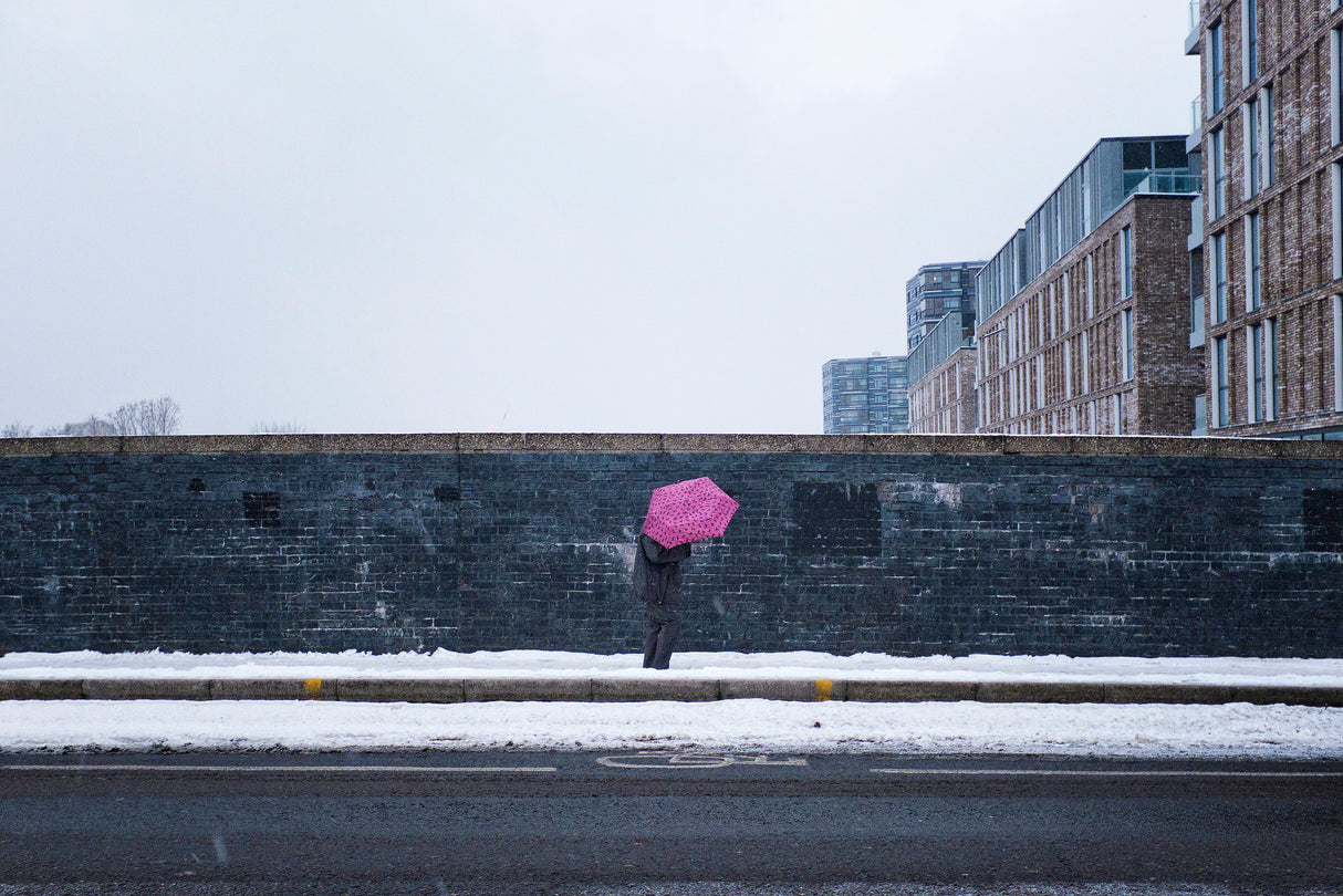 The pink umbrella Poster och Canvastavla