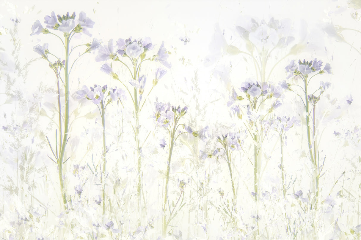 Spring at home Poster och Canvastavla
