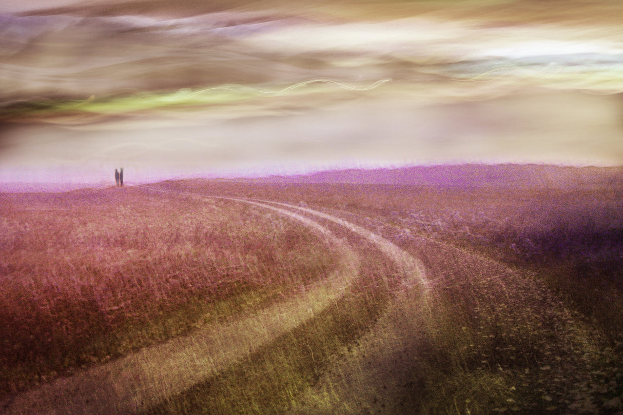 Long way home Poster och Canvastavla