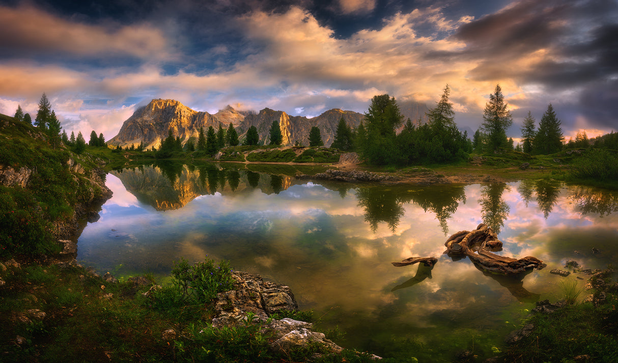 Limides... Poster och Canvastavla