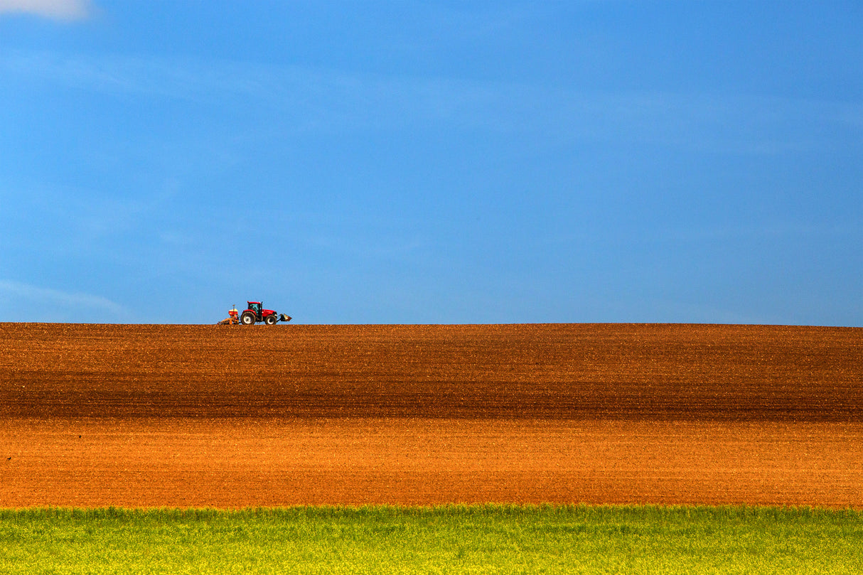 The Tractor Poster och Canvastavla