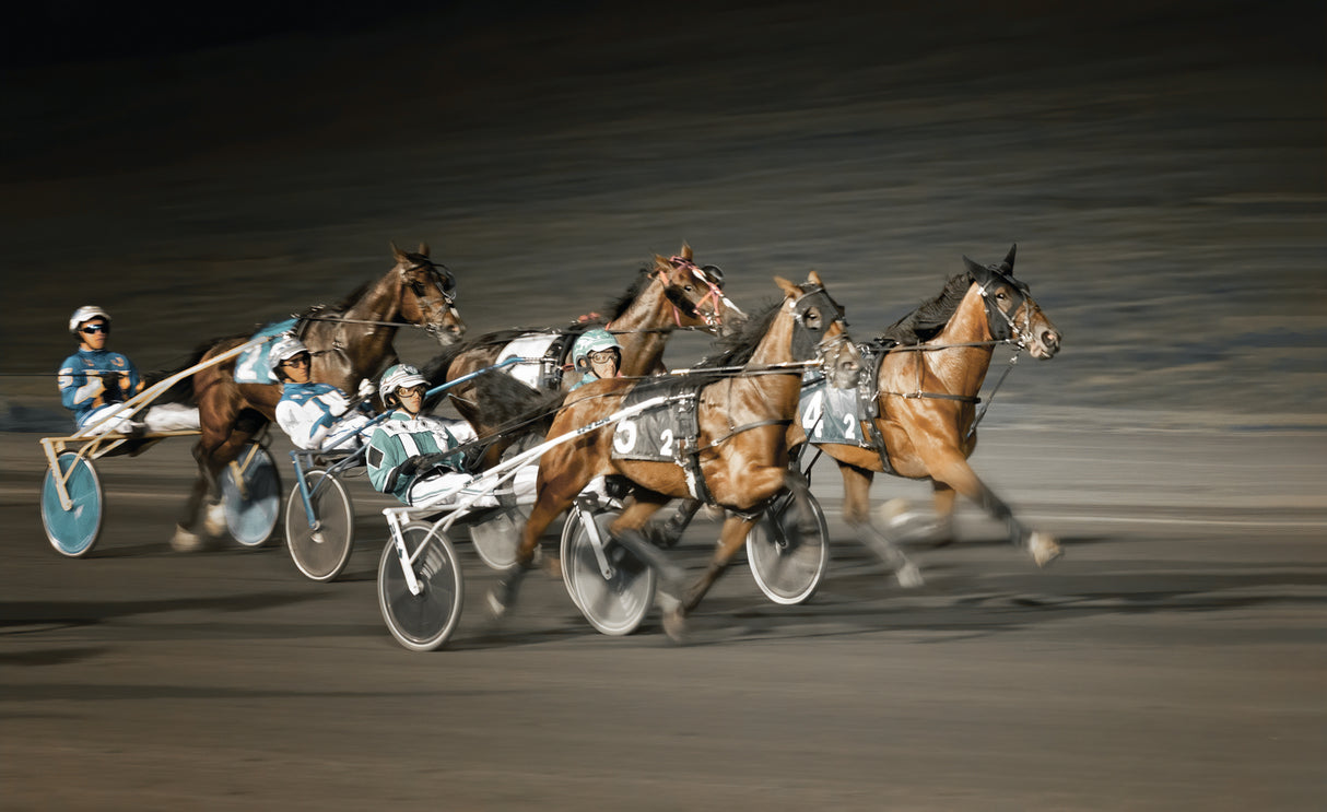 Horseracing Poster och Canvastavla