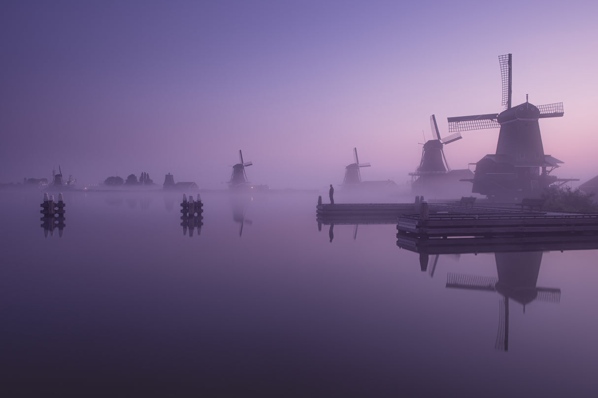 Morning reflections Poster och Canvastavla