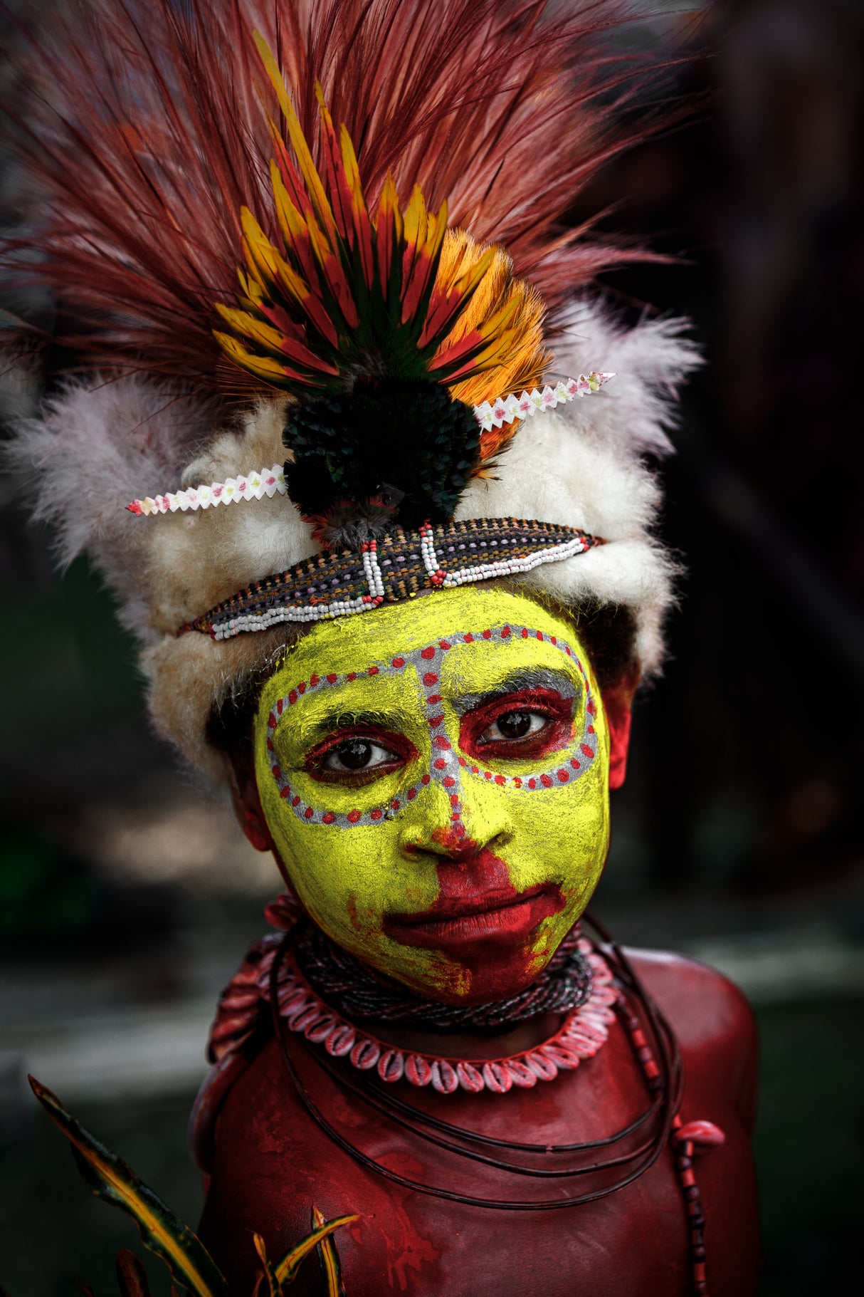 Hully Wingboy portrait, Papua New Guinea Highlands Poster och Canvastavla