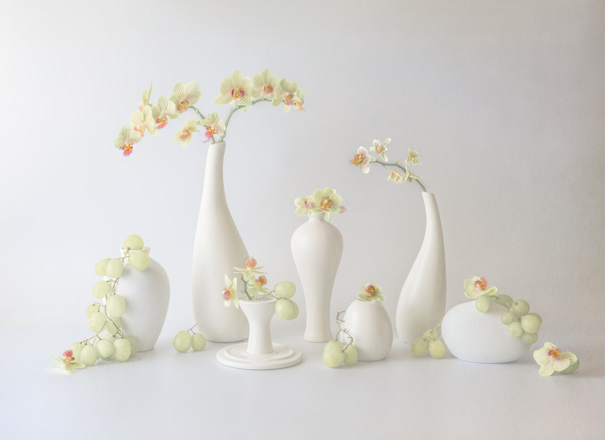 Orchids and Grapes Poster och Canvastavla