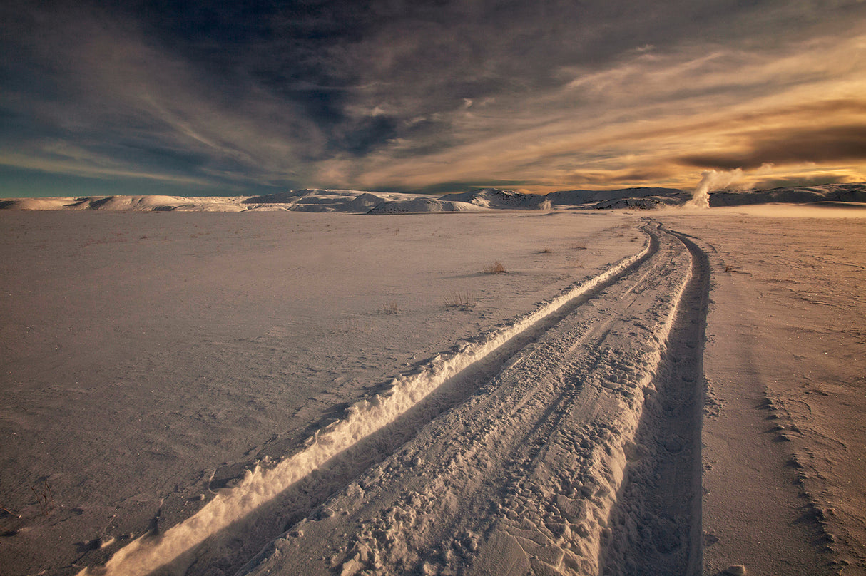 Snow Tracks Poster och Canvastavla