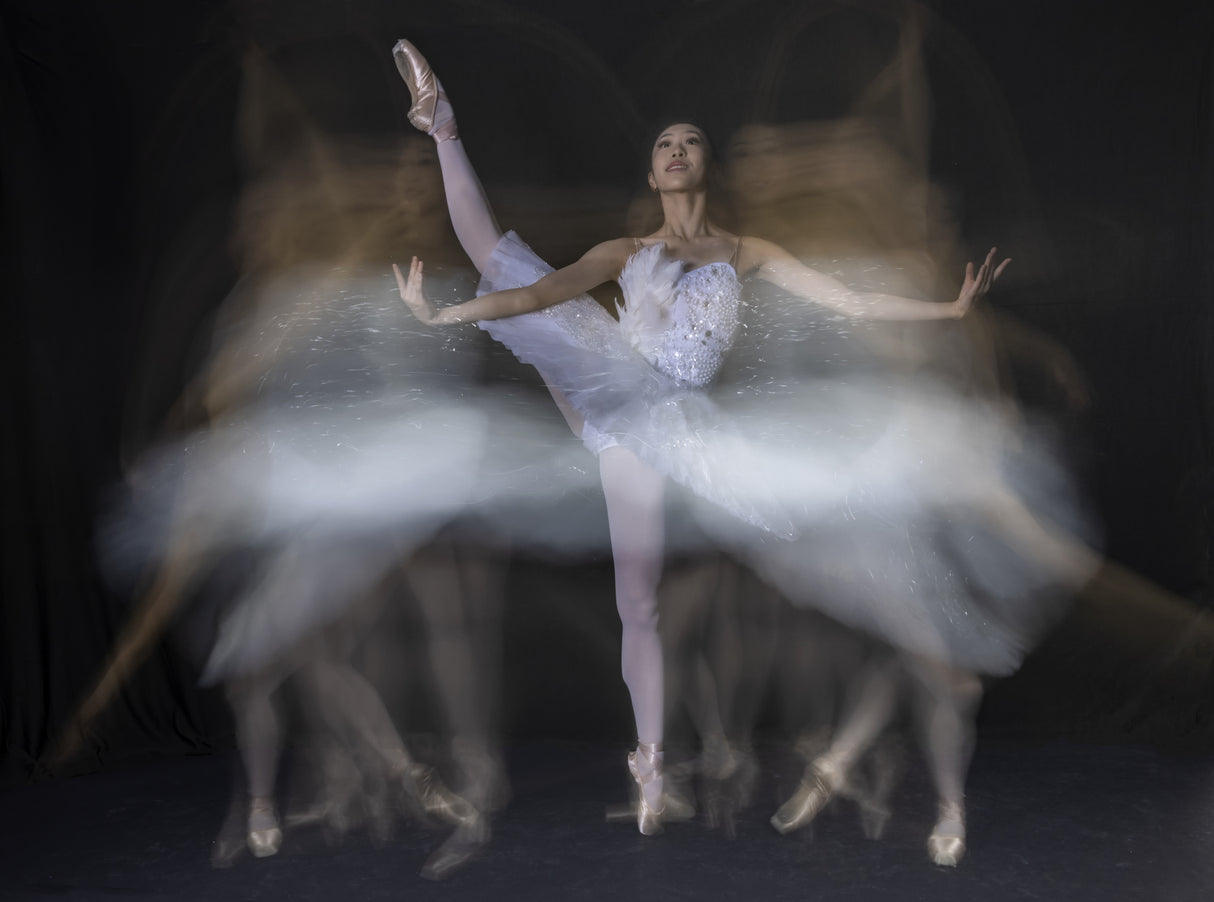 Art of Ballet Poster och Canvastavla