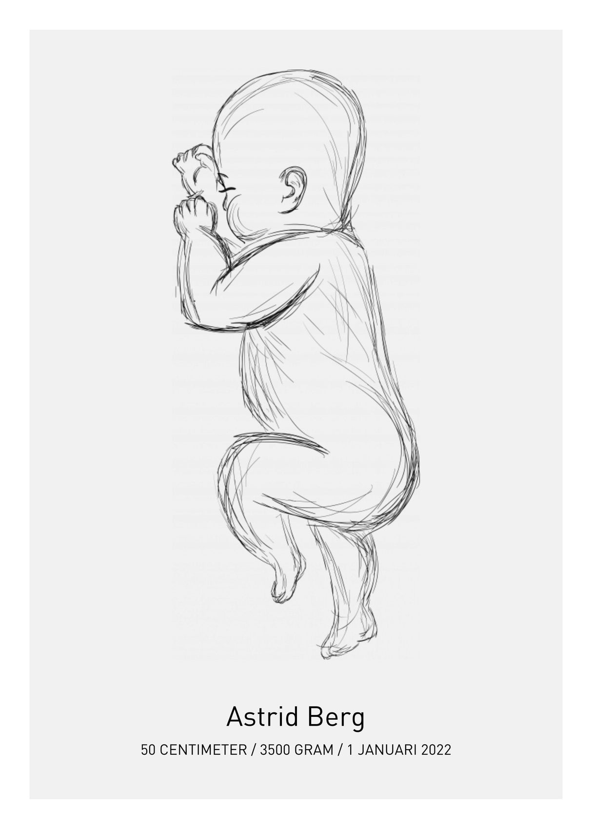 personlig-fodelsetavla-no2 poster