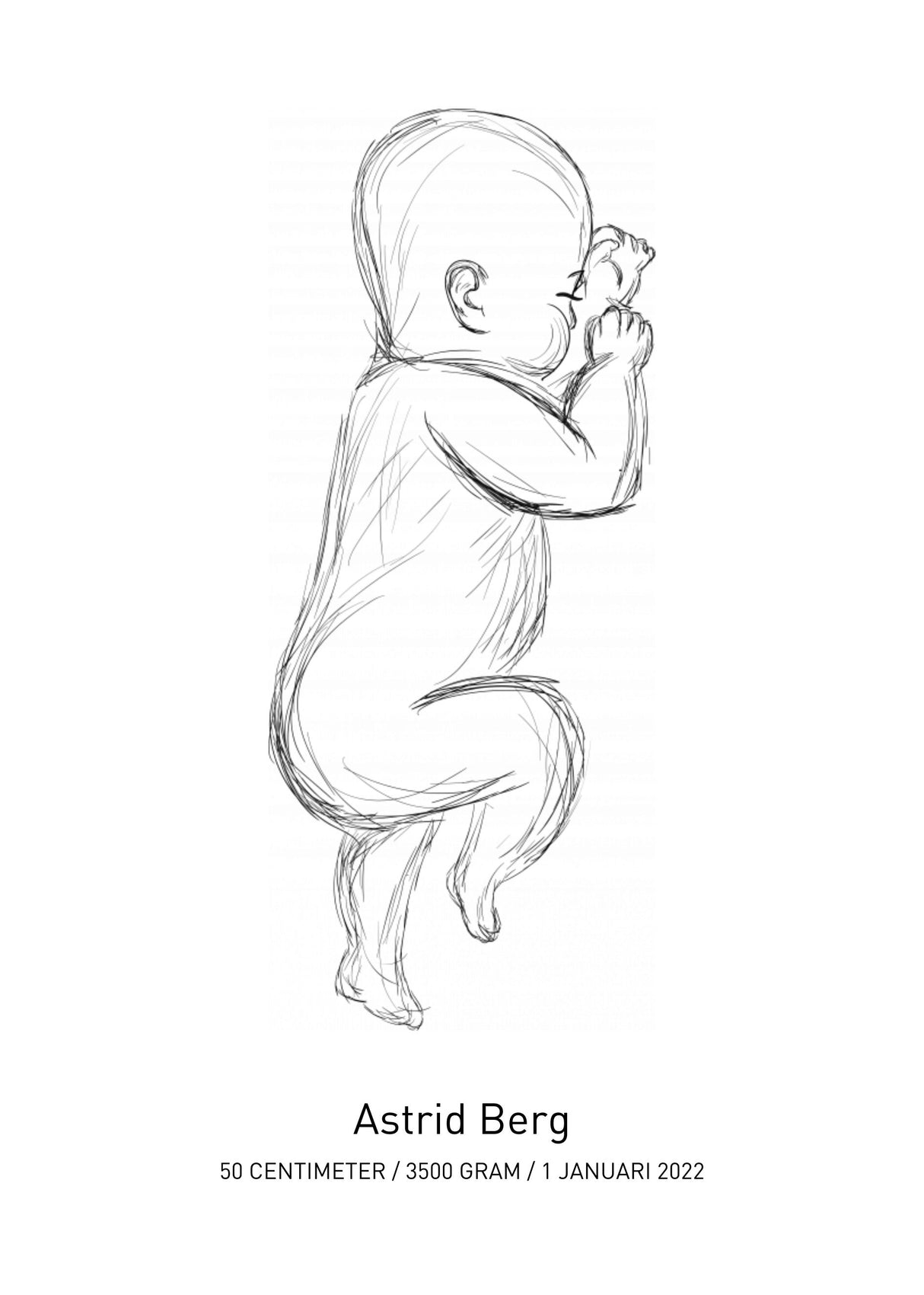 personlig-fodelsetavla-no1 poster