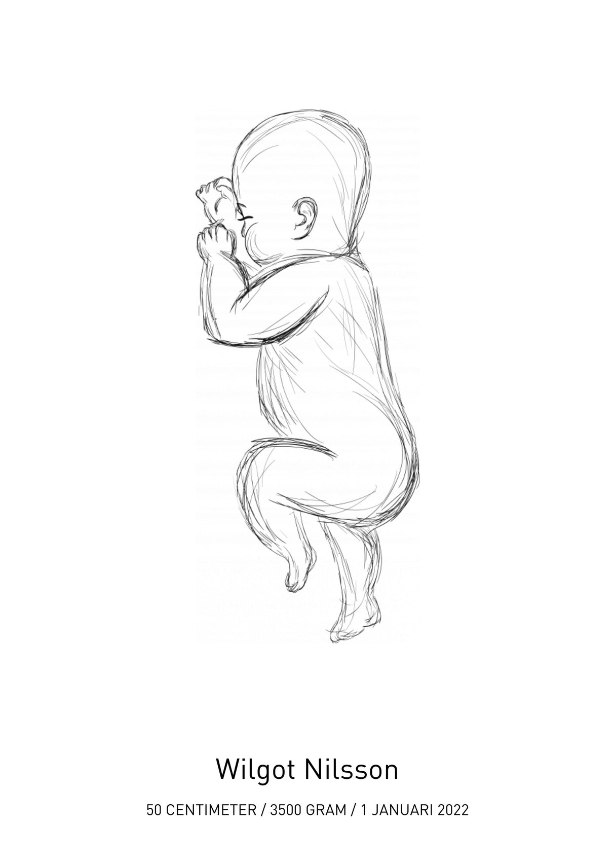 personlig-fodelsetavla-vanster poster