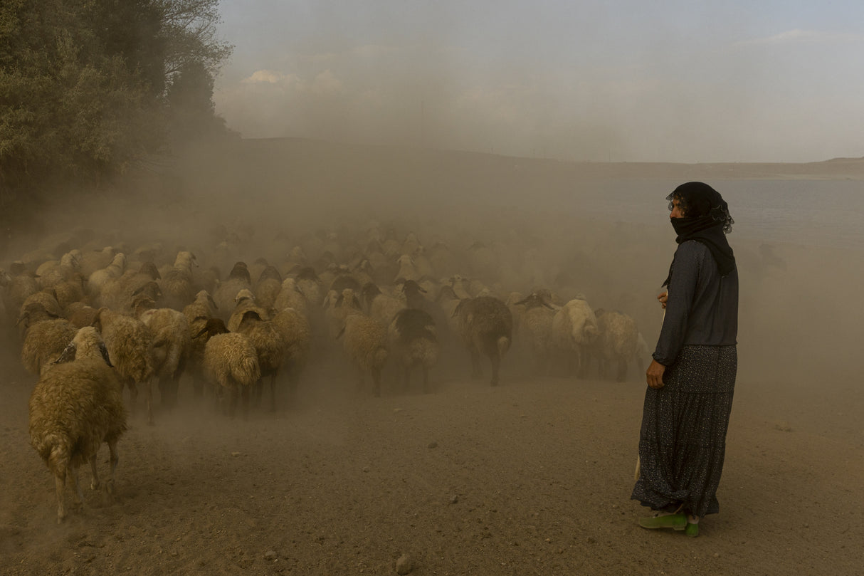 Waiting Poster och Canvastavla