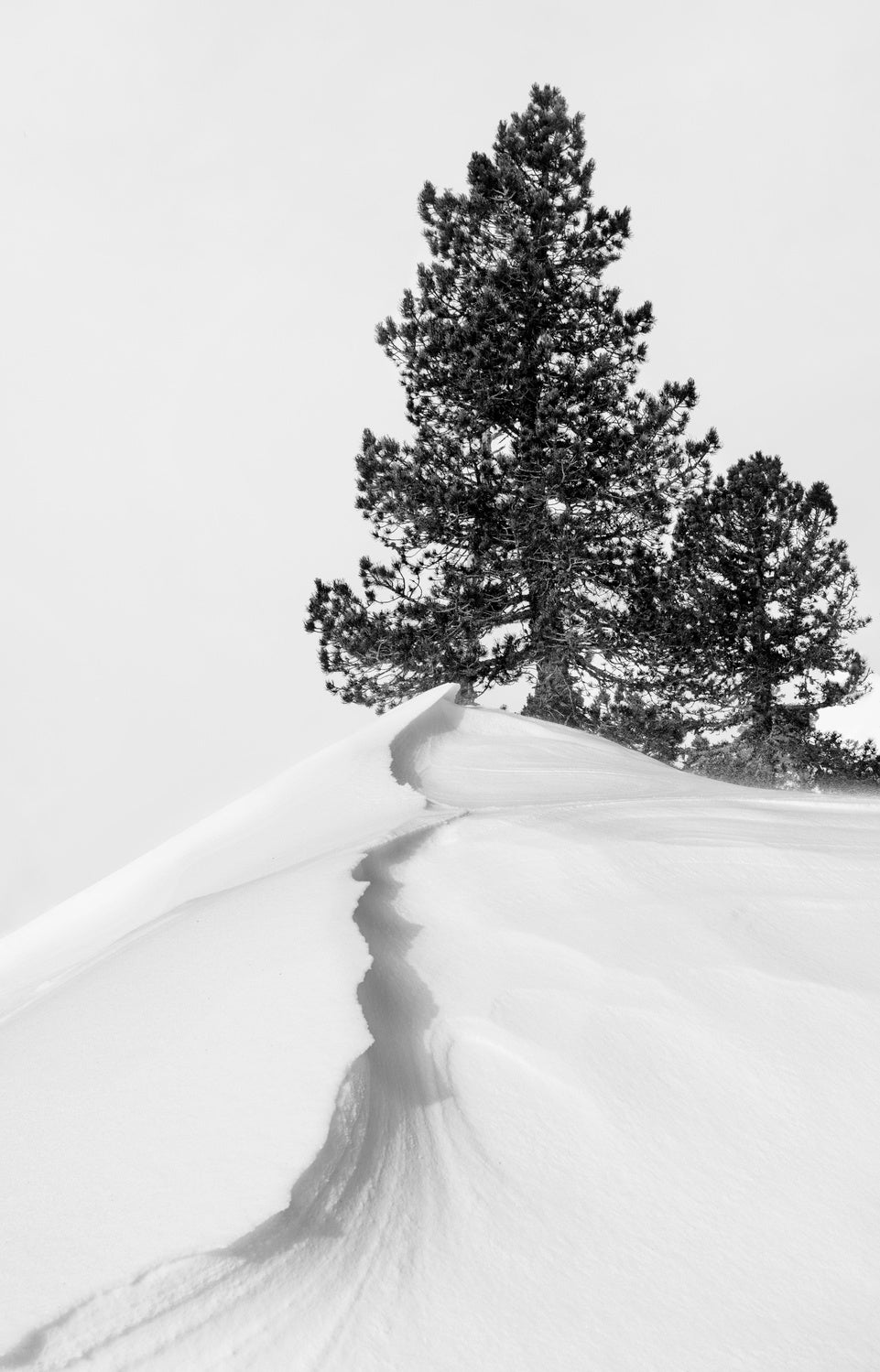 About the snow and forms Poster och Canvastavla