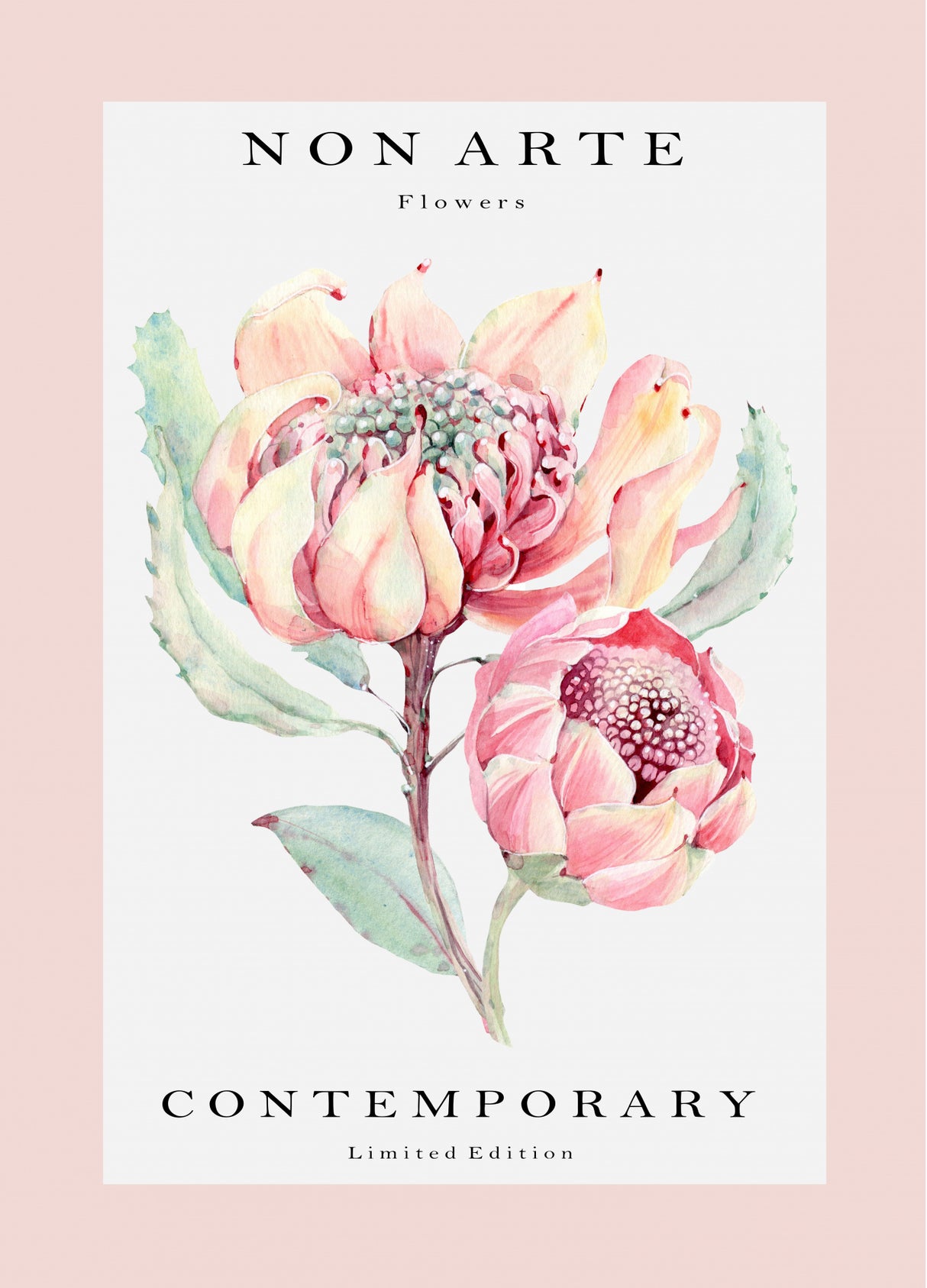 Non Arte rose flower Poster och Canvastavla