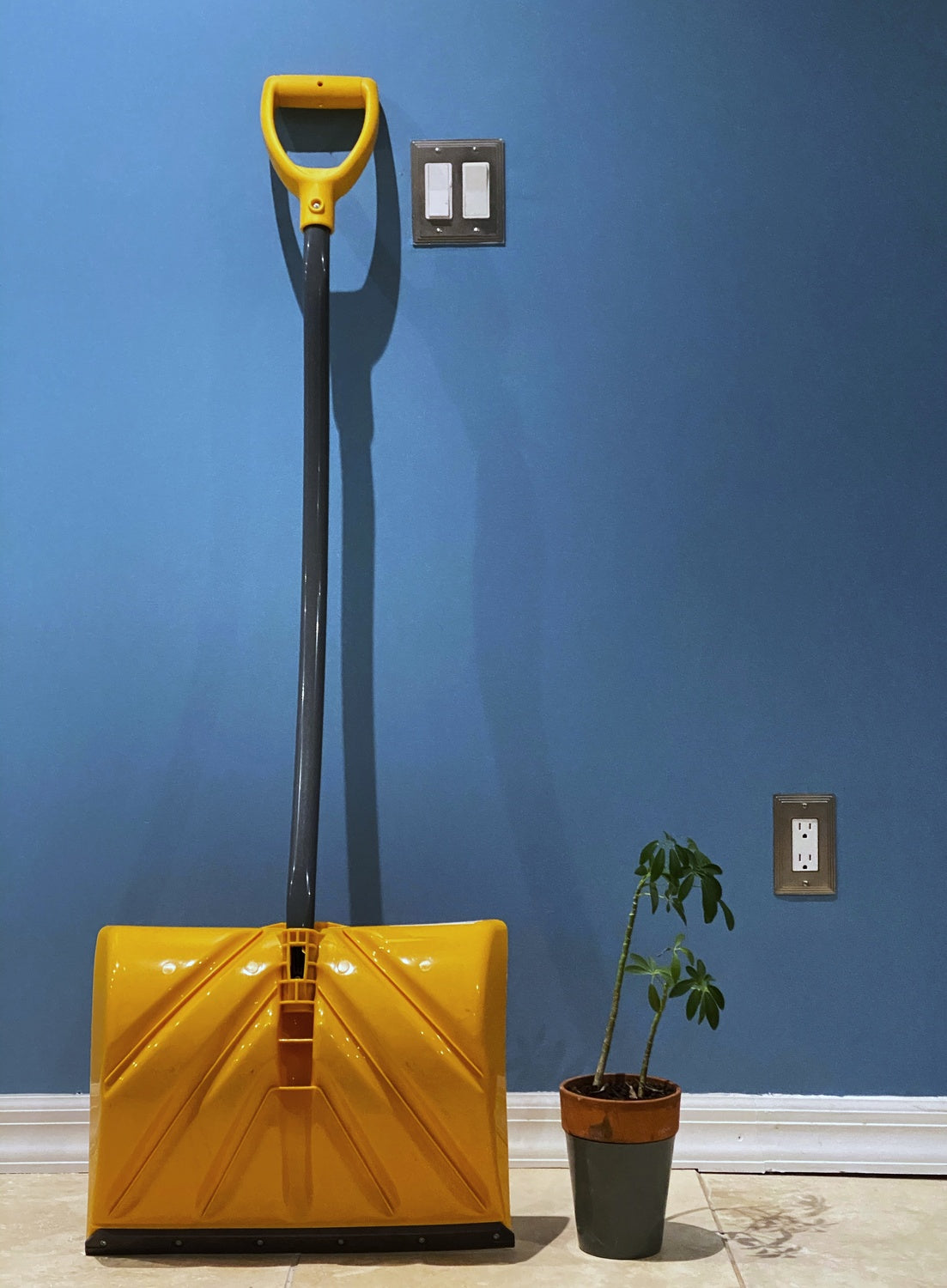 StillLife Poster och Canvastavla