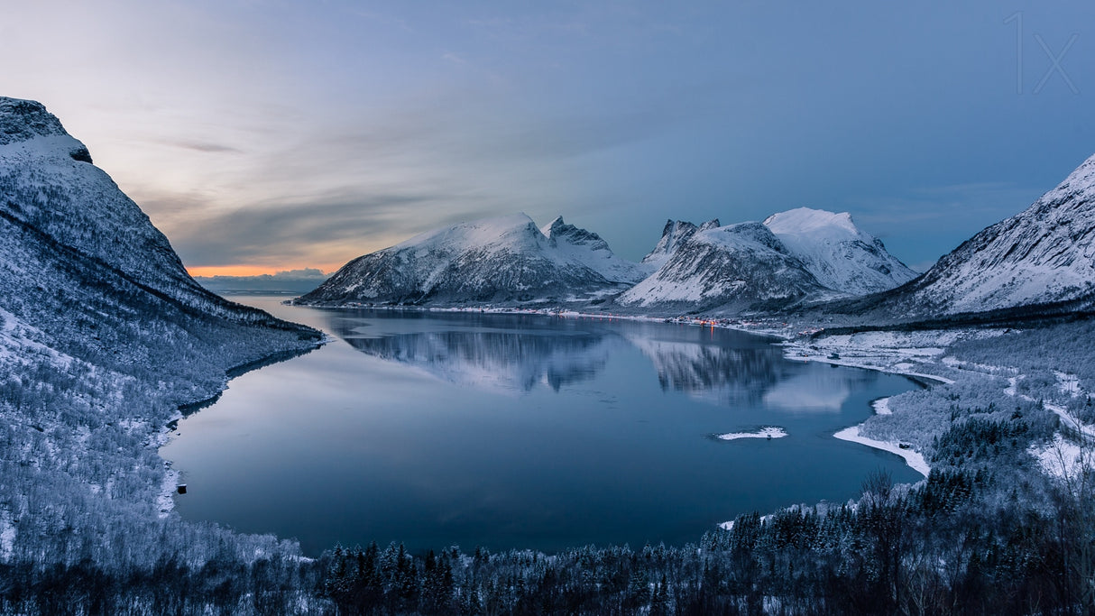 Polar Night Poster och Canvastavla
