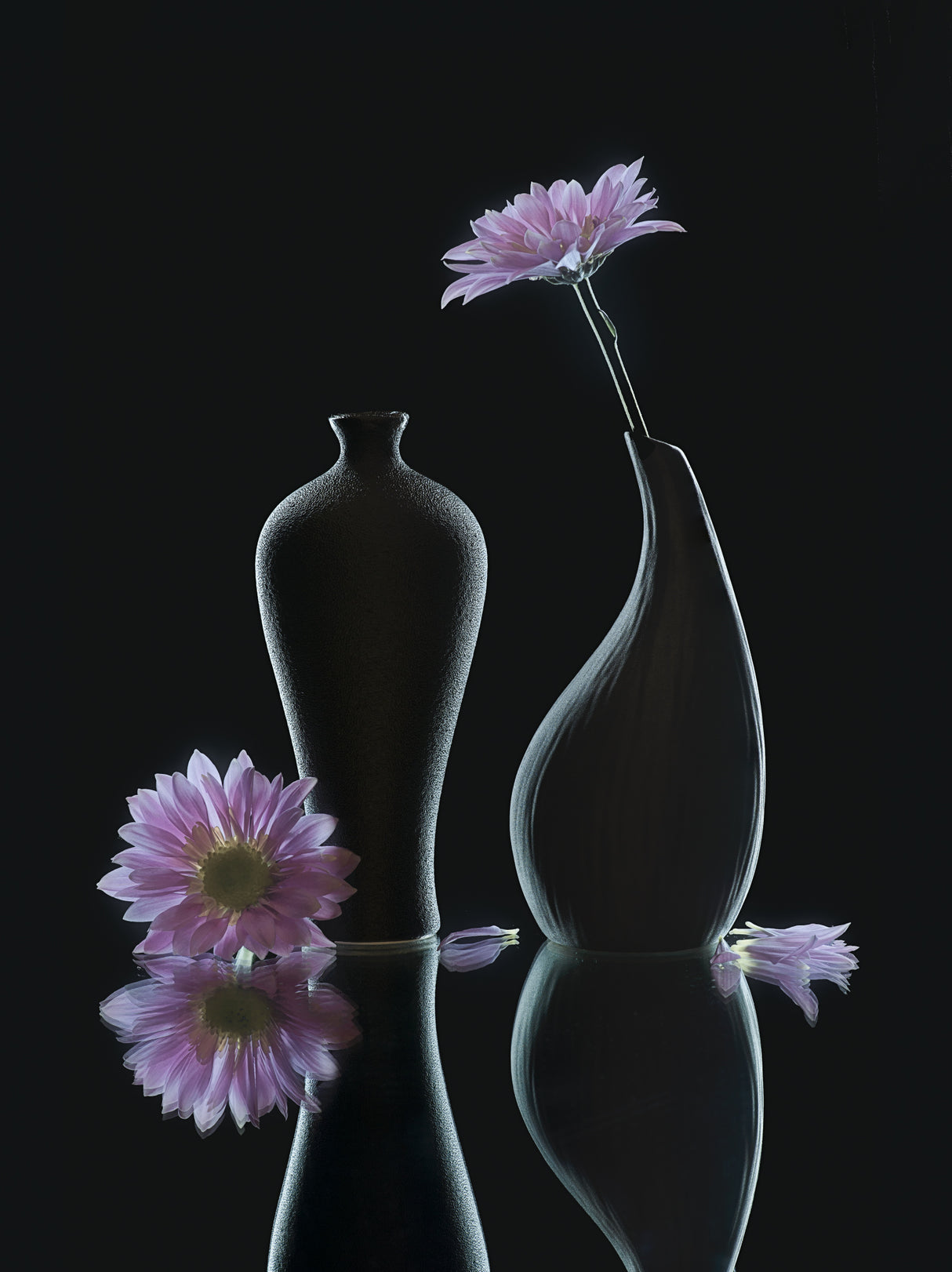 still life 37 Poster och Canvastavla