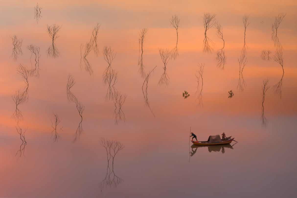 Mangrove Keeper Poster och Canvastavla