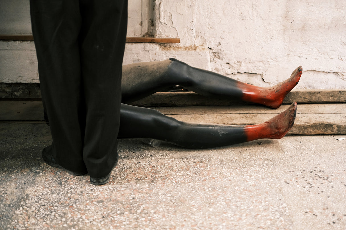 legs Poster och Canvastavla