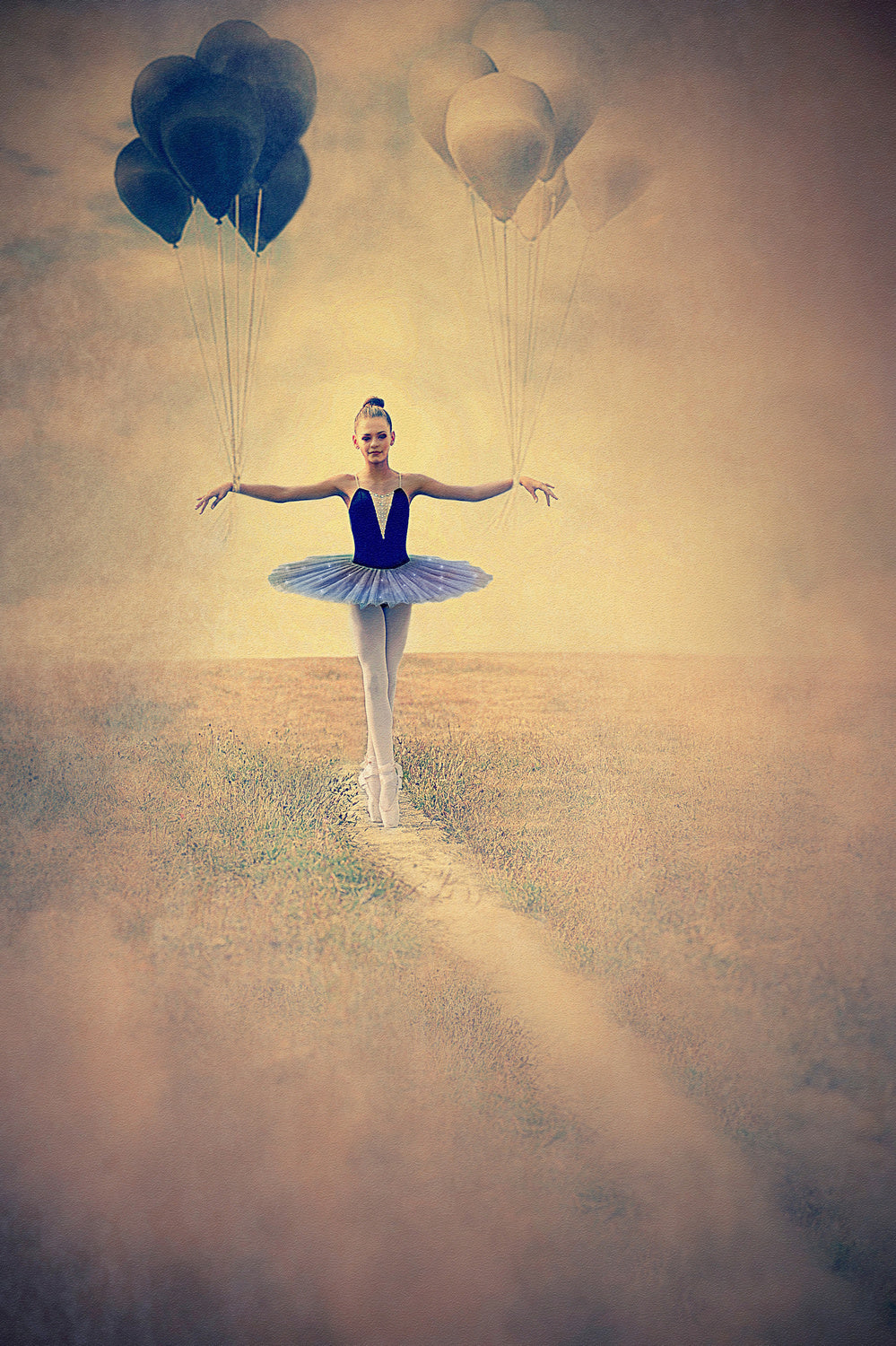 BALANCE OF LIFE Poster och Canvastavla