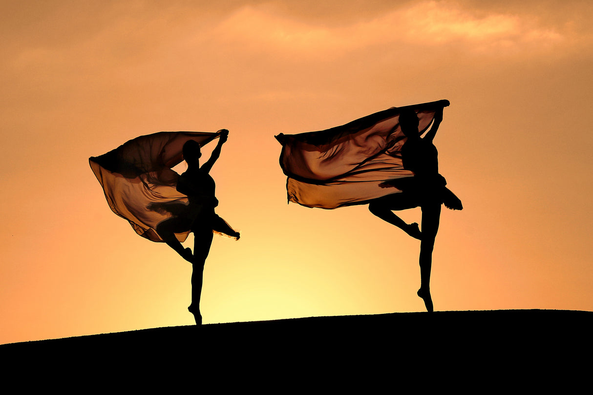 Rhythm, dance and ballerinas Poster och Canvastavla