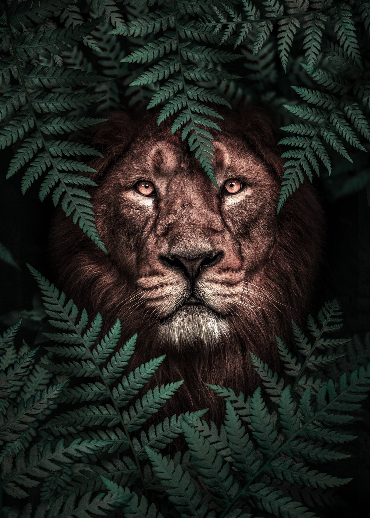 The Lion King Poster och Canvastavla