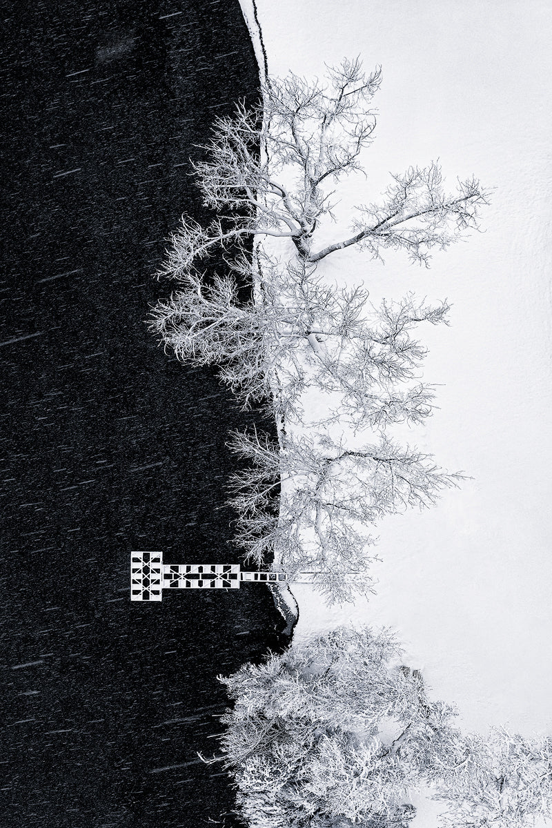 Lake Shore under Snow Storm Poster och Canvastavla