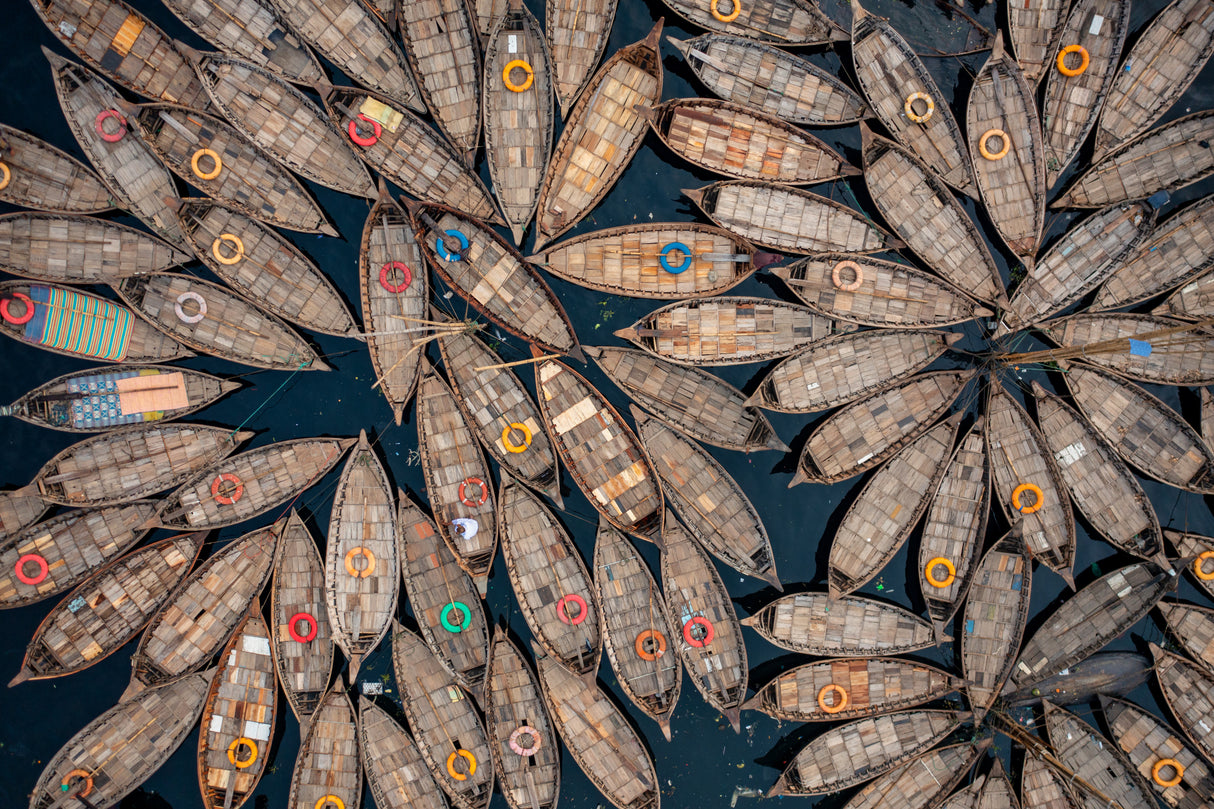 Flower of boats Poster och Canvastavla